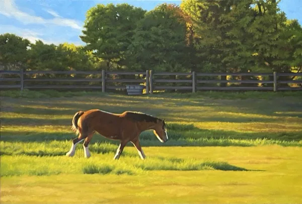 Evening Stroll