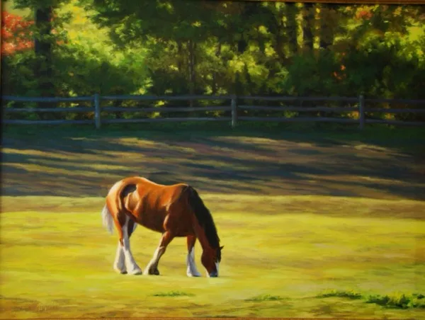 Mendham Pasture