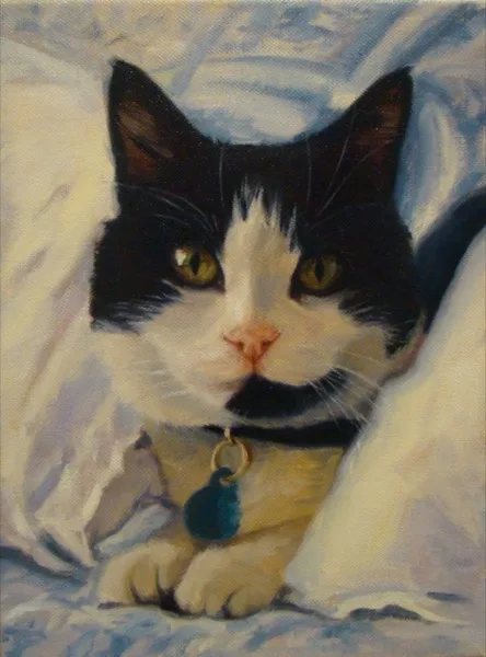 Patches