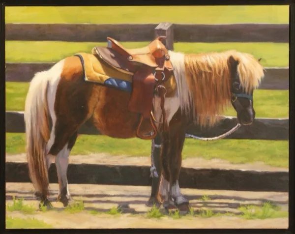Pony