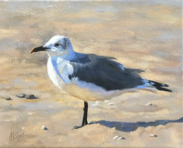 Seagull
