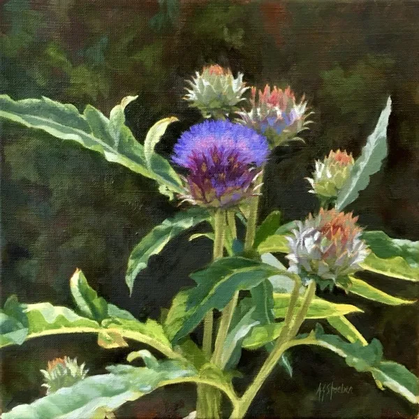 Thistle